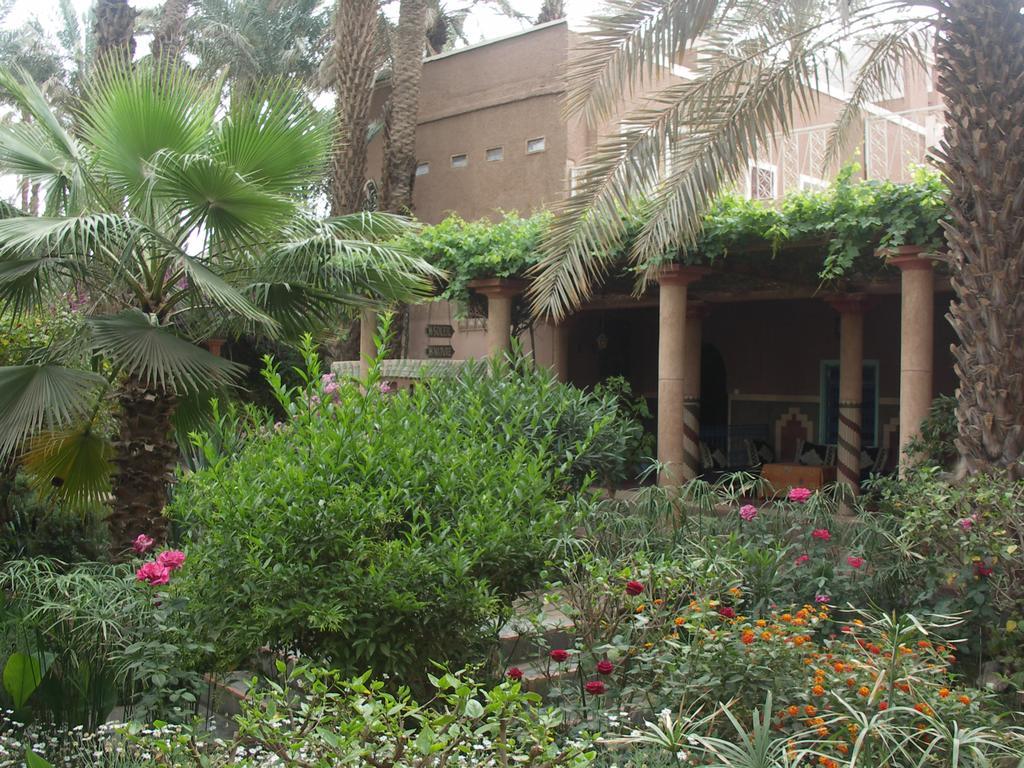 Fibule Du Draa Kasbah D'Hotes Zagora Kültér fotó