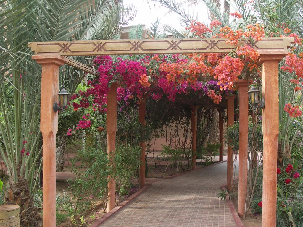 Fibule Du Draa Kasbah D'Hotes Zagora Kültér fotó