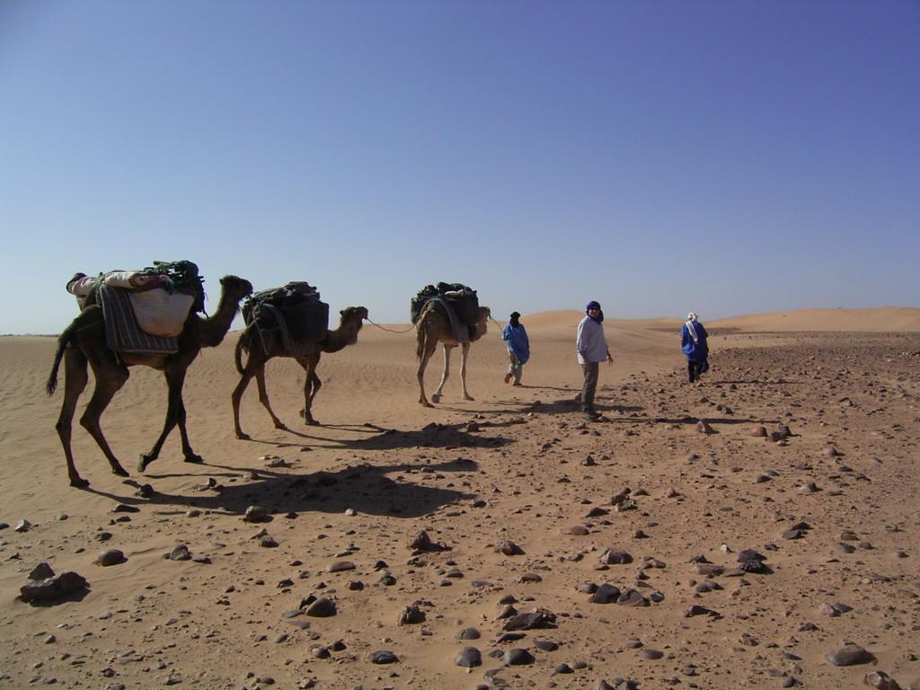 Fibule Du Draa Kasbah D'Hotes Zagora Kültér fotó