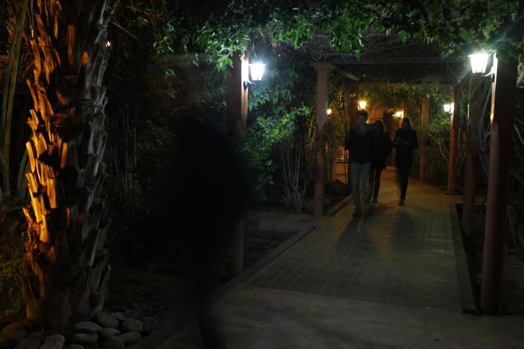 Fibule Du Draa Kasbah D'Hotes Zagora Kültér fotó