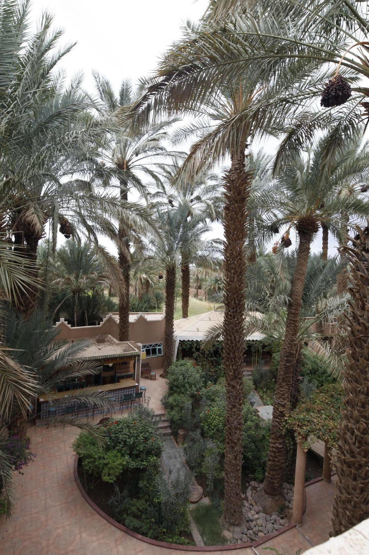 Fibule Du Draa Kasbah D'Hotes Zagora Kültér fotó